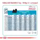 Royal Canin Mini Indoor Cachorro 1.5 Kg