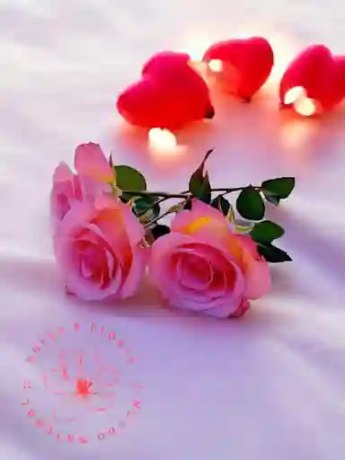 Flores Trío De Rosas Rosadas