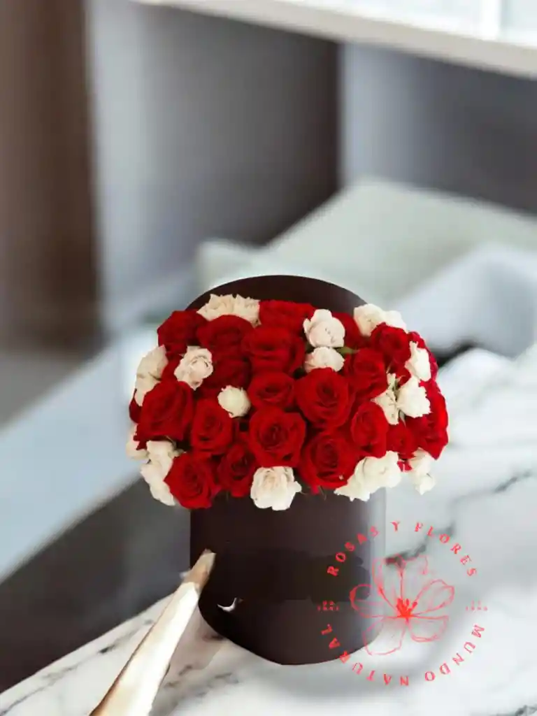 Caja De Flores 48 Rosas Blancas Y Rojas