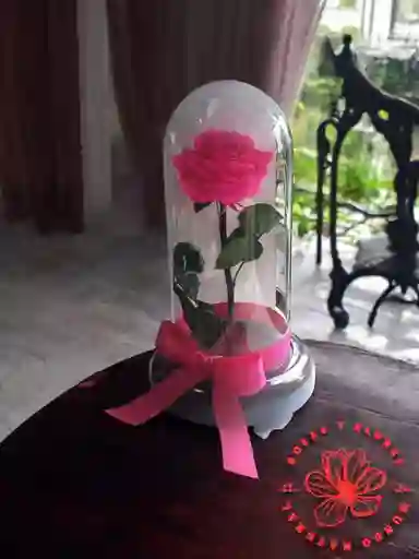 Rosa Preservada Pasión Eterna