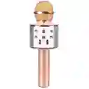 Micrófono Karaoke Niños Ws-858 Palo Rosa