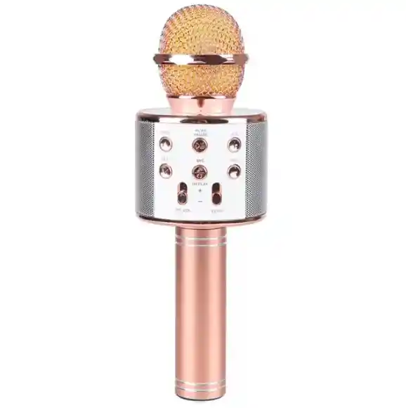 Micrófono Karaoke Niños Ws-858 Palo Rosa