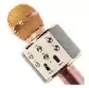 Micrófono Karaoke Niños Ws-858 Palo Rosa