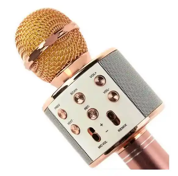 Micrófono Karaoke Niños Ws-858 Palo Rosa