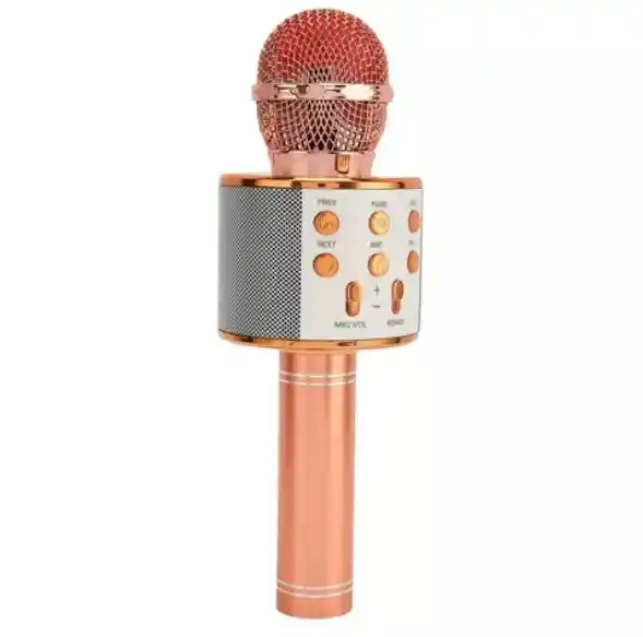 Micrófono Karaoke Niños Ws-858 Palo Rosa