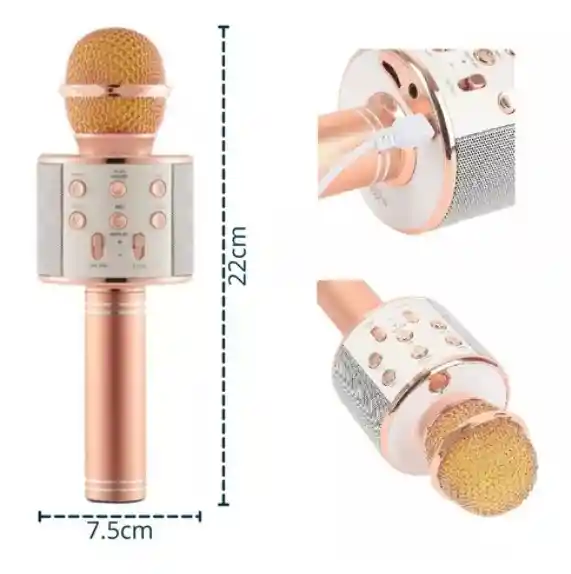 Micrófono Karaoke Niños Ws-858 Palo Rosa