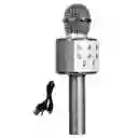 Micrófono Karaoke Niños Ws-858 Gris
