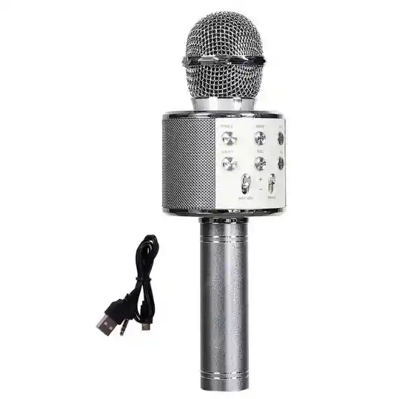 Micrófono Karaoke Niños Ws-858 Gris
