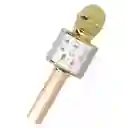 Micrófono Karaoke Para Niños Ws-858 Amarillo