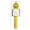 Micrófono Karaoke Para Niños Ws-858 Amarillo