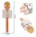 Micrófono Karaoke Para Niños Ws-858 Palo Rosa