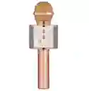 Micrófono Karaoke Para Niños Ws-858 Palo Rosa