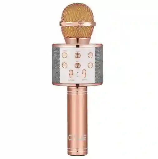 Micrófono Karaoke Para Niños Ws-858 Palo Rosa