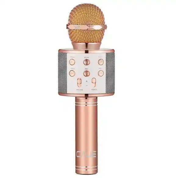 Micrófono Karaoke Para Niños Ws-858 Palo Rosa