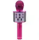 Micrófono Karaoke Para Niños Ws-858 Rosado
