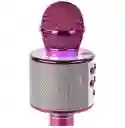 Micrófono Karaoke Para Niños Ws-858 Rosado