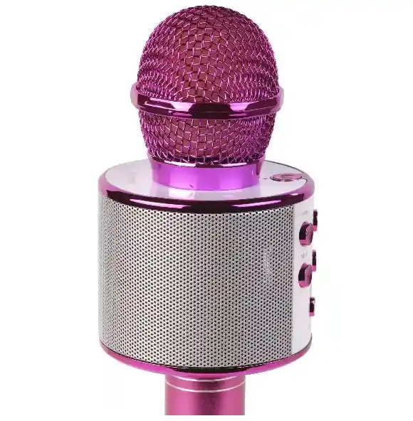 Micrófono Karaoke Para Niños Ws-858 Rosado