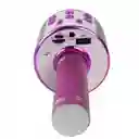 Micrófono Karaoke Para Niños Ws-858 Rosado