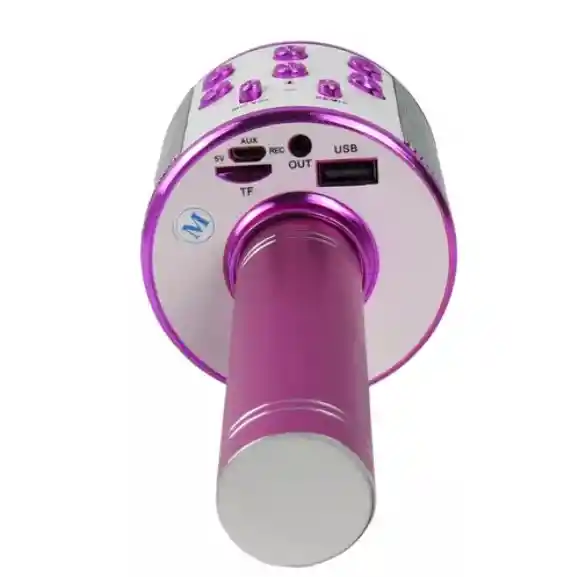 Micrófono Karaoke Para Niños Ws-858 Rosado