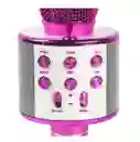 Micrófono Karaoke Para Niños Ws-858 Rosado