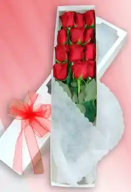 Caja De Rosas X 24