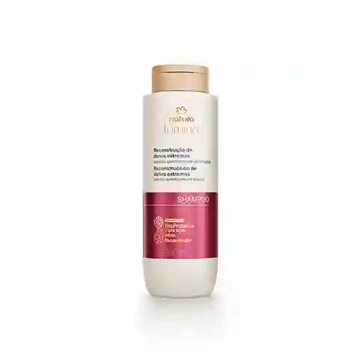 Shampoo Re Estructurante Cabellos Quimicamente Dañados
