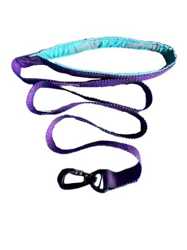 Correa Para Perro - Mango Acolchado Mosqueton De Seguridad - Morado