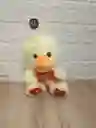 Peluches Ositos