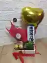 Suculenta Especial Regalo