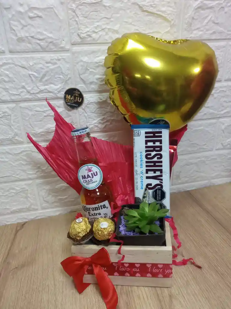 Suculenta Especial Regalo