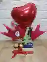 Suculenta Especial Regalo