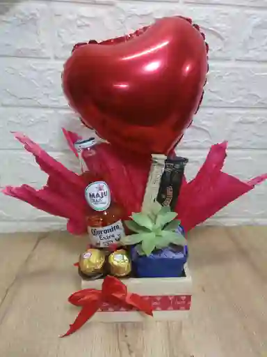 Suculenta Especial Regalo