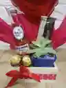 Suculenta Especial Regalo