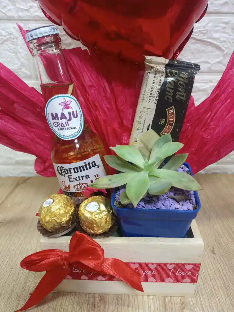 Suculenta Especial Regalo