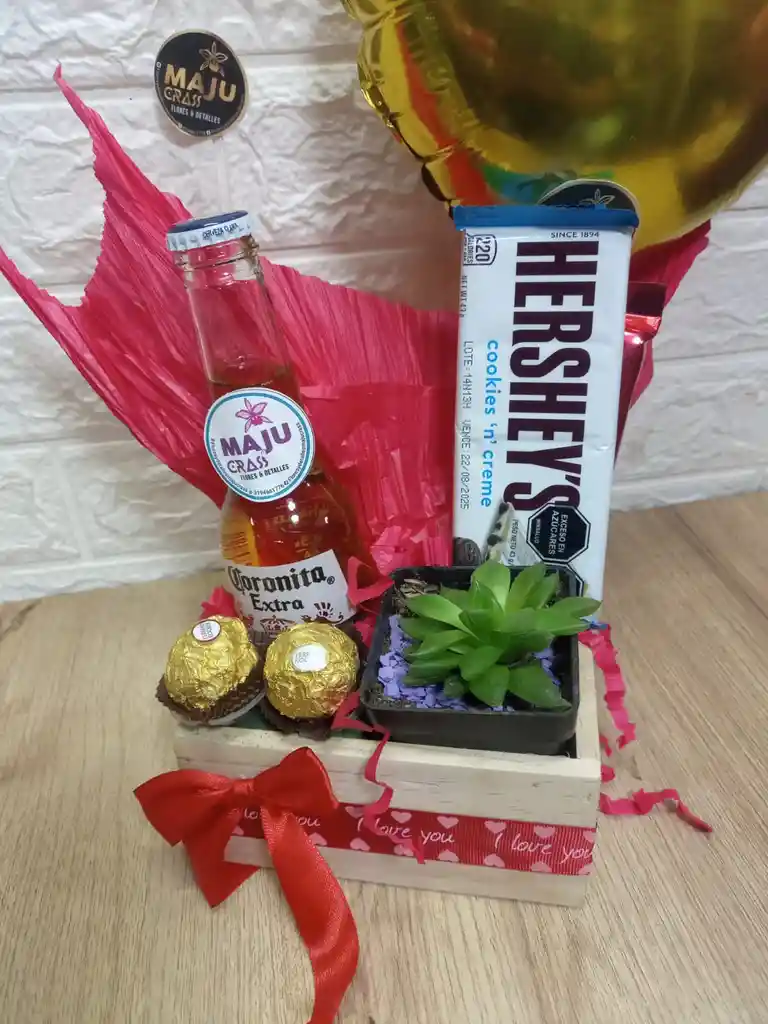 Suculenta Especial Regalo