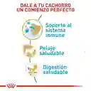 Royal Canin Yorkshire Terrier Cachorro 1.13 Kg