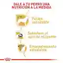 Royal Canin Yorkshire Terrier Adult 1.14 Kg