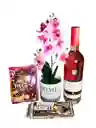 Regalo Especial Orquidea Eterna Con Vino - Regalo Feliz Cumpleaños - Regalo Feliz Dia - Regalo San Valentin