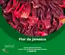 Flor De Jamaica