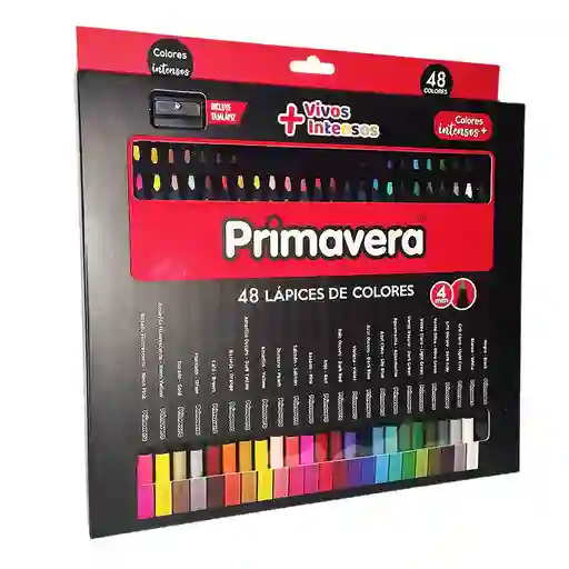 Color Unipunta Primavera Black X48 Und