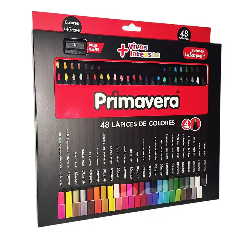 Color Unipunta Primavera Black X48 Und