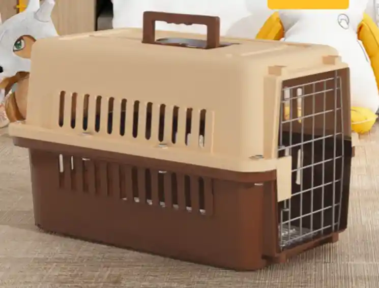 Guacal Con Tornillos Bristol Talla M