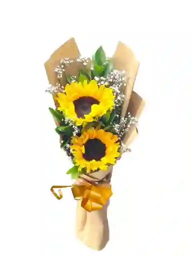 Bouquet De 2 Girasoles