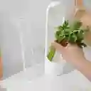 Recipiente Conservador De Verduras En La Nevera Hermético 01
