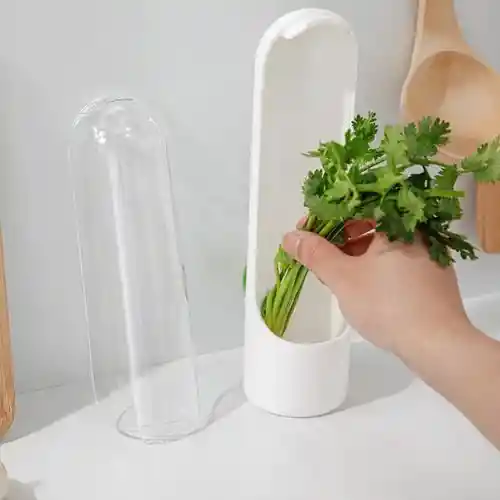 Recipiente Conservador De Verduras En La Nevera Hermético 01