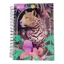 Cuaderno 5 Materias Pequeño X-presarte Arg Femenino Cuadriculado