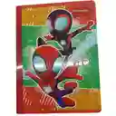 Cuaderno Primavera 95-100 Spiderman Animado