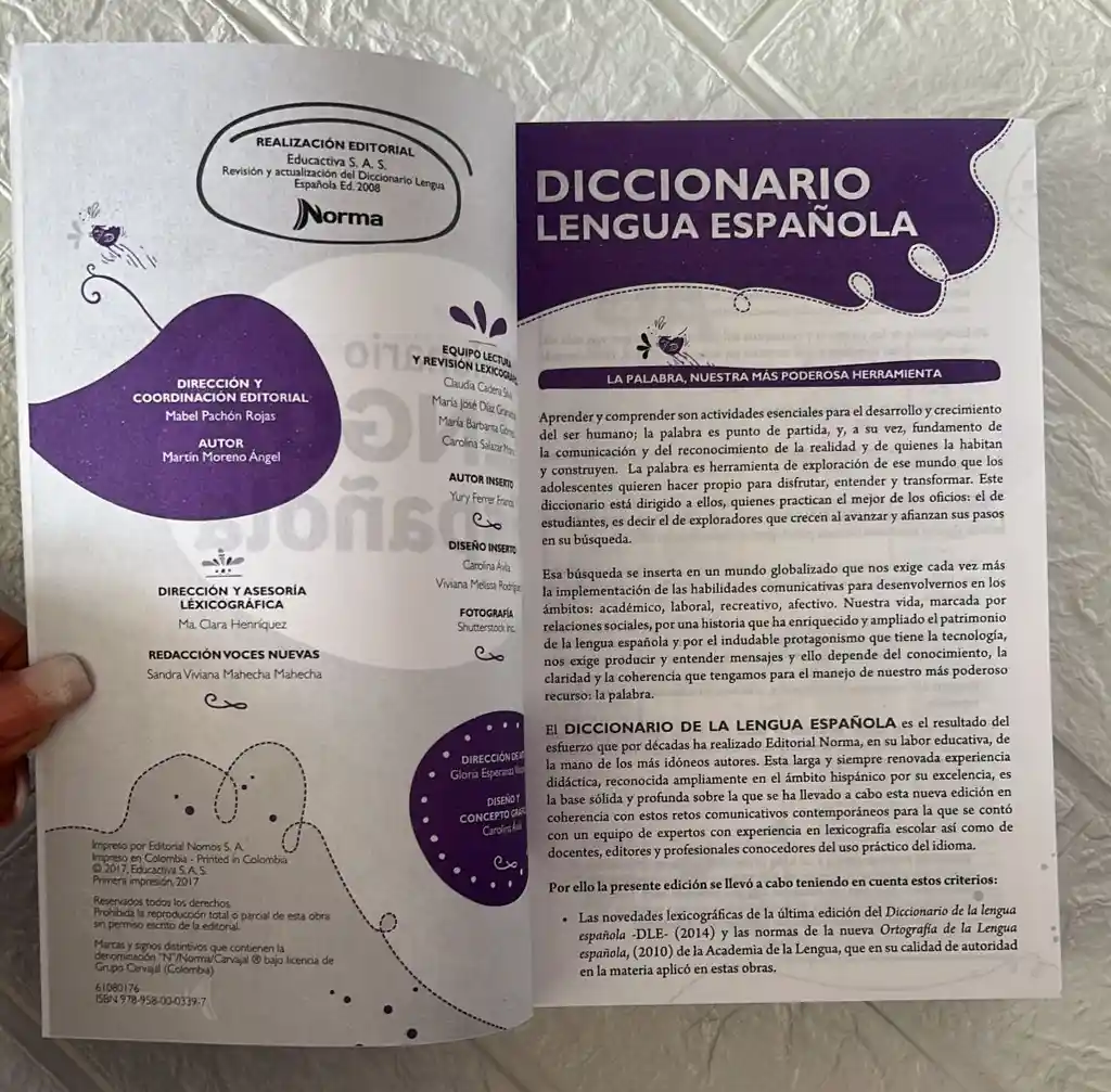 Diccionario Norma Lengua Española