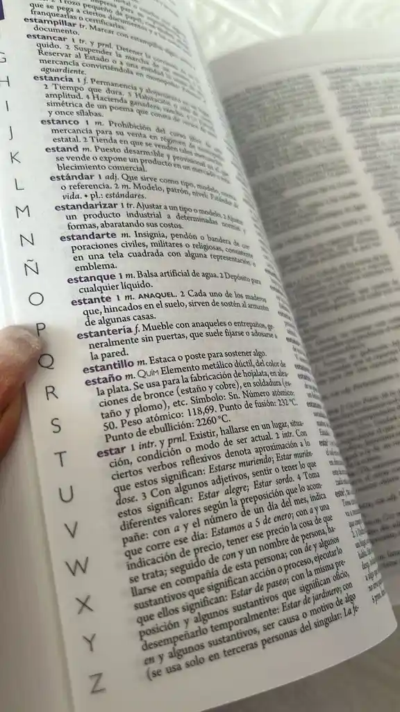Diccionario Norma Lengua Española