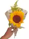 Girasol